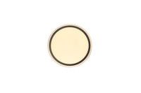 Потолочный светильник Zortes Bella ZRS.1201.04