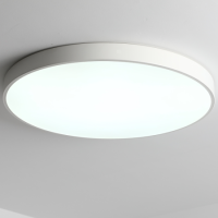 Потолочный светильник Zortes Tortty ZRS.02564.120