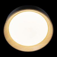 Потолочный светильник Loft IT Coin 10202 Black