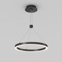 Подвесной светильник Arlight SP-CONGO-CAN-1-R400-24W Day4000 (BK, 120 deg, 230V) 046222