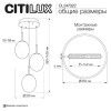 Подвесной светильник Citilux Signature CL247022