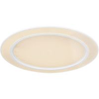 Потолочный светильник Globo Dahla 48549-60