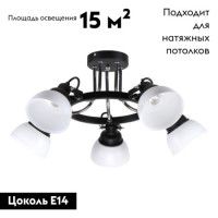 Потолочная люстра IMEX MD.51575-5-S BK