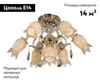 Накладная люстра WERTMARK WE351.07.307