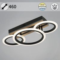 Потолочный светильник Reluce 00330-0.3-2+1