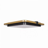 Потолочный светильник Loft IT Mike 10172