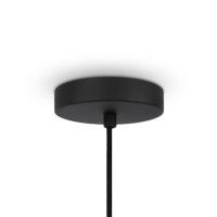 Подвесной светильник Maytoni Roots MOD197PL-01W2