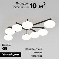 Потолочная люстра Eurosvet Opaline 70220/8 черный Smart a065767