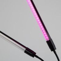 Светильник для растений Эра FITO-20W-АLED-N Б0053059