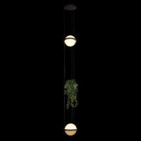 Подвесной светильник Loft IT Jardin 10121/2P Dark grey